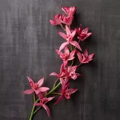 Brand new ❤️ Mauve Boat Orchid Spray by Ashland® 💯 -Ashland Online Store 10626413 22