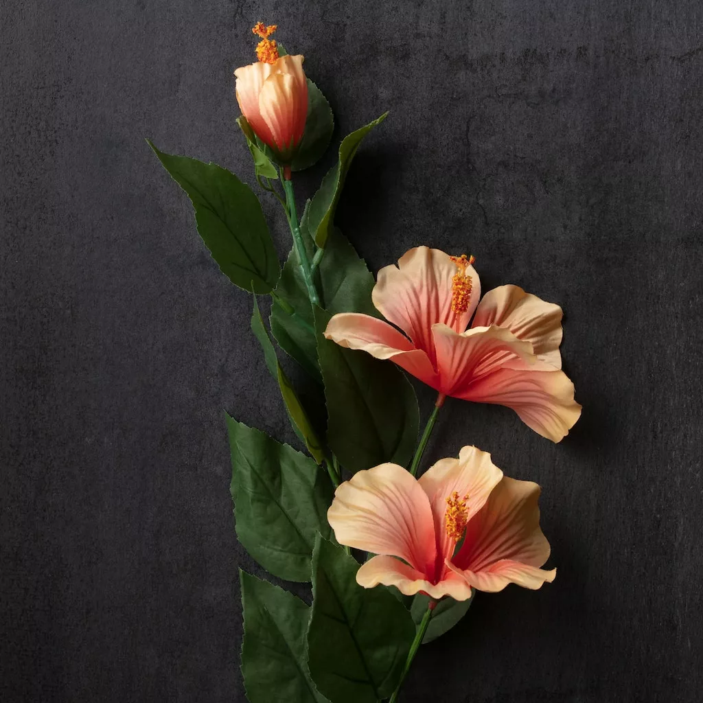 Budget ๐ Red & Orange Hibiscus Spray by Ashland® โ๏ธ 4 Budget ๐ Red & Orange Hibiscus Spray by Ashland® โ๏ธ - Image 2