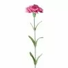 Best Sale 🔔 24 Pack: Hot Pink Carnation Stem by Ashland® 🔥 -Ashland Online Store 10626417 1