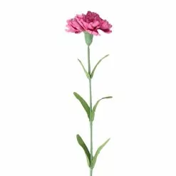 Best Sale 🔔 24 Pack: Hot Pink Carnation Stem by Ashland® 🔥