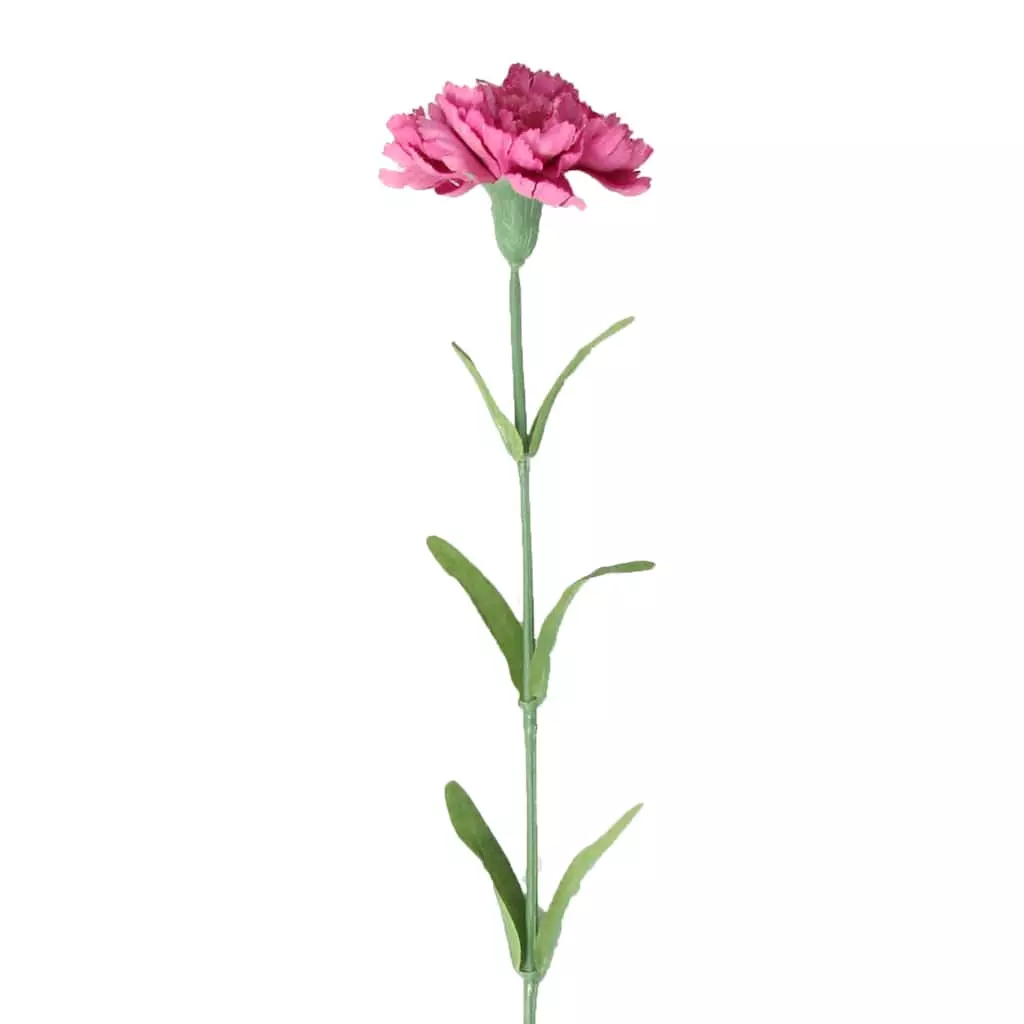 Best Sale ๐ 24 Pack: Hot Pink Carnation Stem by Ashland® ๐ฅ 3 Best Sale ๐ 24 Pack: Hot Pink Carnation Stem by Ashland® ๐ฅ