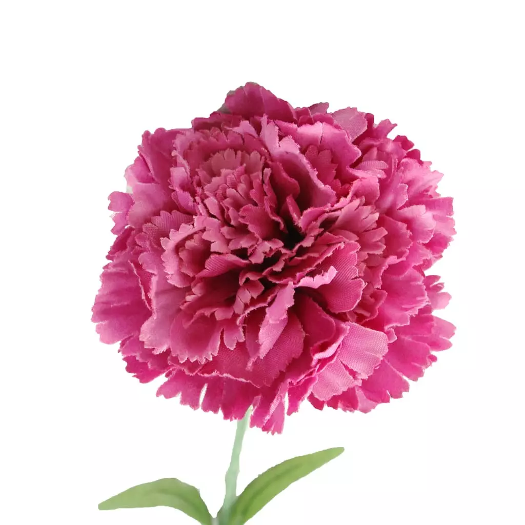 Best Sale ๐ 24 Pack: Hot Pink Carnation Stem by Ashland® ๐ฅ 4 Best Sale ๐ 24 Pack: Hot Pink Carnation Stem by Ashland® ๐ฅ - Image 2