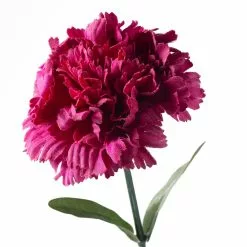 Best reviews of ๐ Hot Pink Carnation Stem by Ashland® ๐ฏ 8 Best reviews of ๐ Hot Pink Carnation Stem by Ashland® ๐ฏ -Ashland Online Store 10626417 20