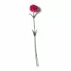 Best reviews of 🌟 Hot Pink Carnation Stem by Ashland® 💯 -Ashland Online Store 10626417 21
