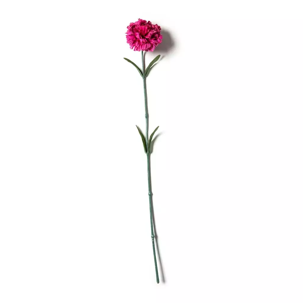 Best reviews of ๐ Hot Pink Carnation Stem by Ashland® ๐ฏ 3 Best reviews of ๐ Hot Pink Carnation Stem by Ashland® ๐ฏ