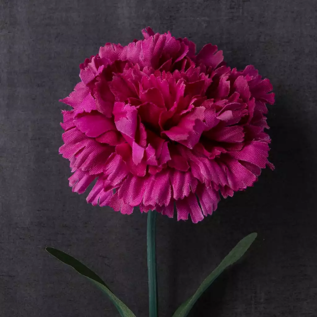 Best reviews of ๐ Hot Pink Carnation Stem by Ashland® ๐ฏ 4 Best reviews of ๐ Hot Pink Carnation Stem by Ashland® ๐ฏ - Image 2
