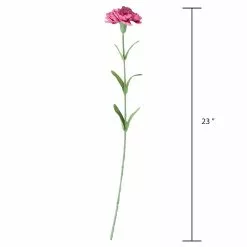 Best reviews of ๐ Hot Pink Carnation Stem by Ashland® ๐ฏ 9 Best reviews of ๐ Hot Pink Carnation Stem by Ashland® ๐ฏ -Ashland Online Store 10626417 3