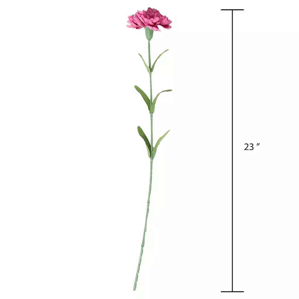 Best reviews of ๐ Hot Pink Carnation Stem by Ashland® ๐ฏ 6 Best reviews of ๐ Hot Pink Carnation Stem by Ashland® ๐ฏ - Image 4