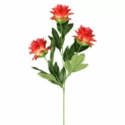 Hot Sale ❤️ 12 Pack: Red Hops Stem by Ashland® 🔥