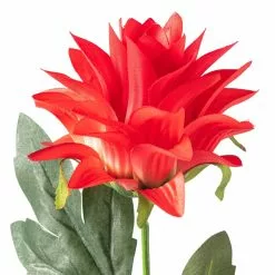 Best reviews of ❤️ Red Hops Stem by Ashland® ⭐ -Ashland Online Store 10626421 20