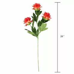 Hot Sale ❤️ 12 Pack: Red Hops Stem by Ashland® 🔥 -Ashland Online Store 10626421 3 1