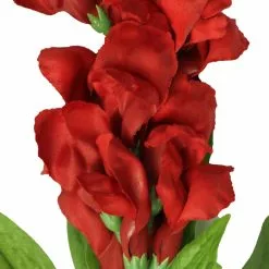 Cheap ✨ 12 Pack: Red Snapdragon Spray by Ashland® ⭐ 9 Cheap ✨ 12 Pack: Red Snapdragon Spray by Ashland® ⭐ -Ashland Online Store 10626425 2