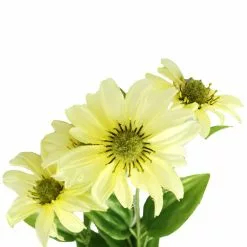 Top 10 ⭐ 12 Pack: Light Yellow Sunflower Spray by Ashland® 🔔 -Ashland Online Store 10626429 2