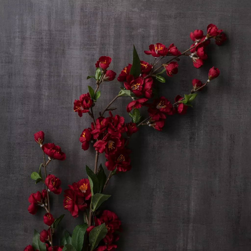 Buy โค๏ธ Burgundy Blossom Spray by Ashland® ๐ 4 Buy โค๏ธ Burgundy Blossom Spray by Ashland® ๐ - Image 2