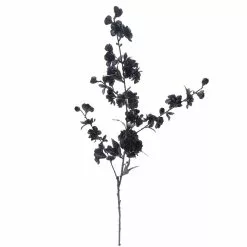 Flash Sale ๐ 12 Pack: Black Blossom Spray by Ashland® โญ 10 Flash Sale ๐ 12 Pack: Black Blossom Spray by Ashland® โญ -Ashland Online Store 10626437 3