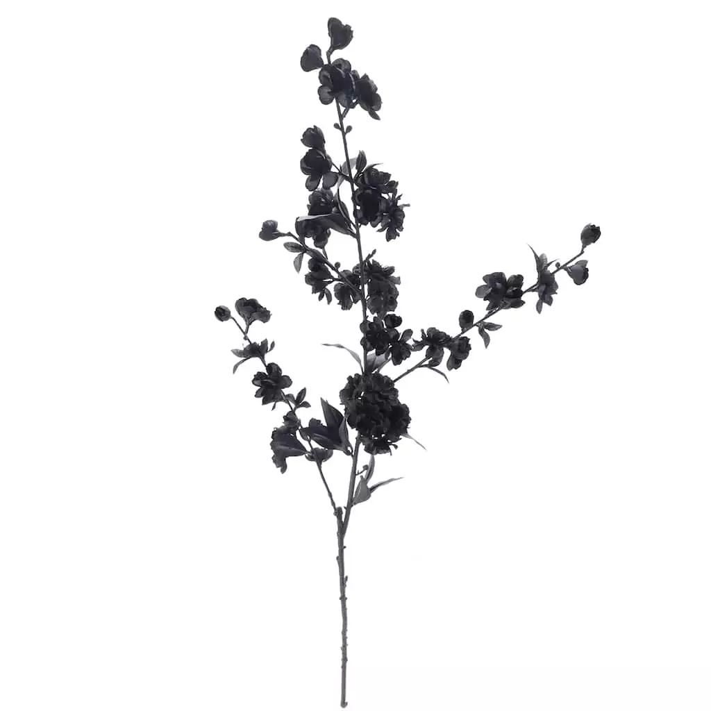 Flash Sale ๐ 12 Pack: Black Blossom Spray by Ashland® โญ 5 Flash Sale ๐ 12 Pack: Black Blossom Spray by Ashland® โญ - Image 3