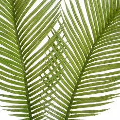 New 👍 Green Sago Palm Stem by Ashland® 👍 -Ashland Online Store 10626443 2