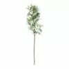 Best reviews of ๐ Frosted Dusty Miller Spray Stem by Ashland® ๐ 1 Best reviews of ๐ Frosted Dusty Miller Spray Stem by Ashland® ๐ -Ashland Online Store 10626451 21