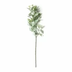 Best reviews of ๐ Frosted Dusty Miller Spray Stem by Ashland® ๐