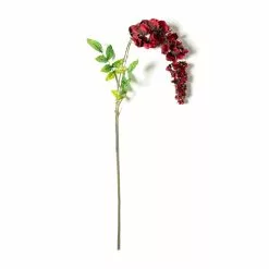 Top 10 ⌛ Burgundy Wisteria Stem by Ashland® ✨