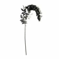 Best deal 👍 Black Wisteria Stem by Ashland® 🤩
