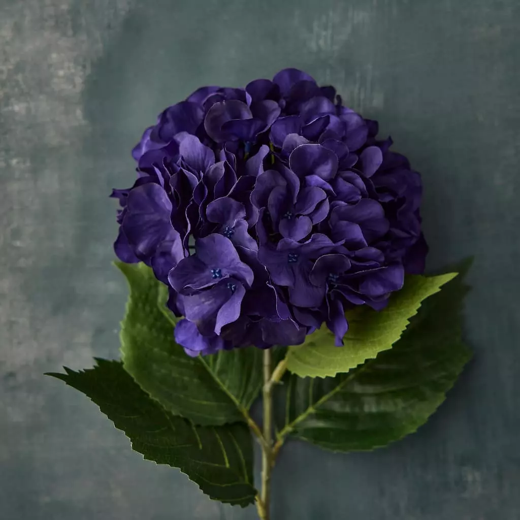 Promo โค๏ธ Purple-Blue Hydrangea Stem by Ashland® ๐ 5 Promo โค๏ธ Purple-Blue Hydrangea Stem by Ashland® ๐ - Image 3