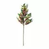 Outlet 👏 Burgundy Berry Stem with Leaves by Ashland® 🔔 -Ashland Online Store 10626463 21