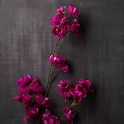 Outlet ⌛ Mauve Anemone Stem by Ashland® ⭐ -Ashland Online Store 10626465 22