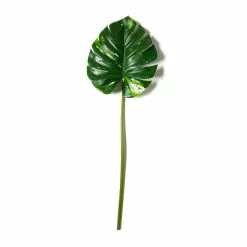 Best Sale 🥰 Monstera Leaf Stem by Ashland® 🛒
