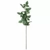 Top 10 🎉 12 Pack: Rose Leaf Stem by Ashland® 😀 -Ashland Online Store 10626471 1