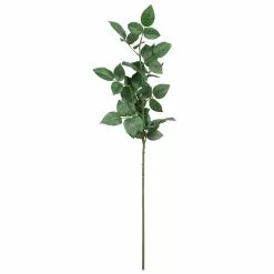 Top 10 🎉 12 Pack: Rose Leaf Stem by Ashland® 😀