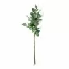 Wholesale 🛒 Rose Leaf Stem by Ashland® 😉 -Ashland Online Store 10626471 21