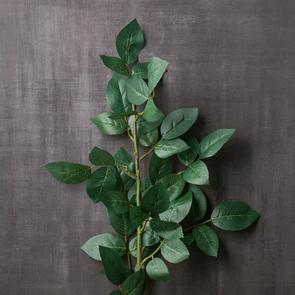 Wholesale ๐ Rose Leaf Stem by Ashland® ๐ 4 Wholesale ๐ Rose Leaf Stem by Ashland® ๐ - Image 2