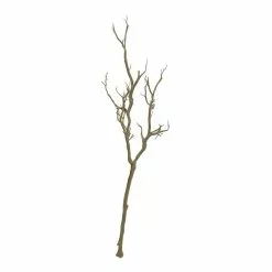 Deals ⌛ Bare Birch Branch by Ashland® 👏