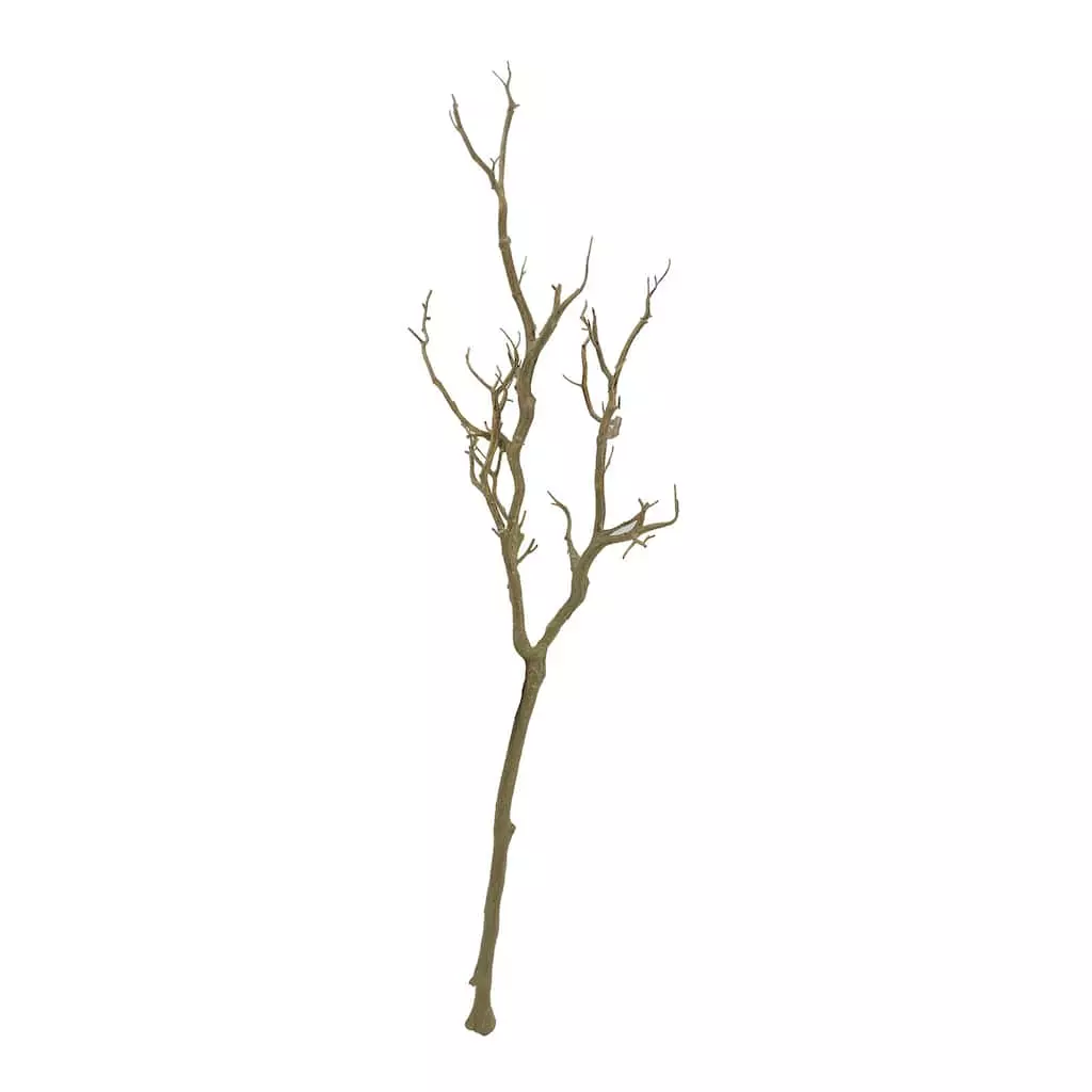 Deals โ Bare Birch Branch by Ashland® ๐ 3 Deals โ Bare Birch Branch by Ashland® ๐