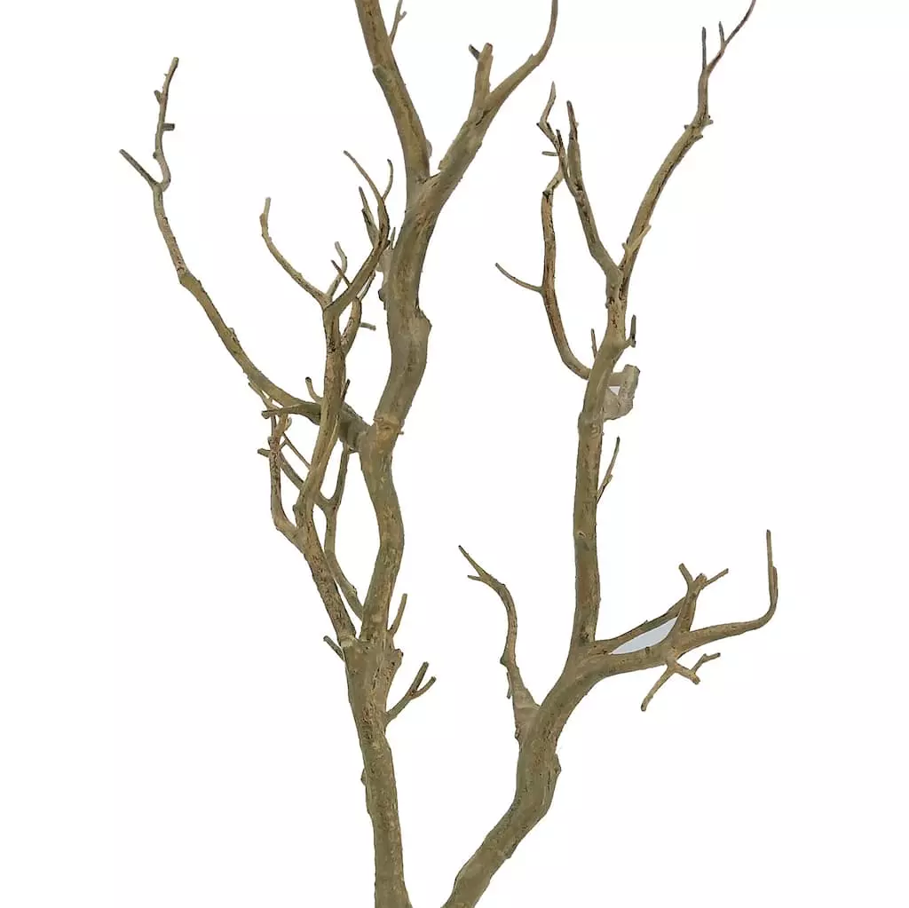 Deals โ Bare Birch Branch by Ashland® ๐ 5 Deals โ Bare Birch Branch by Ashland® ๐ - Image 3