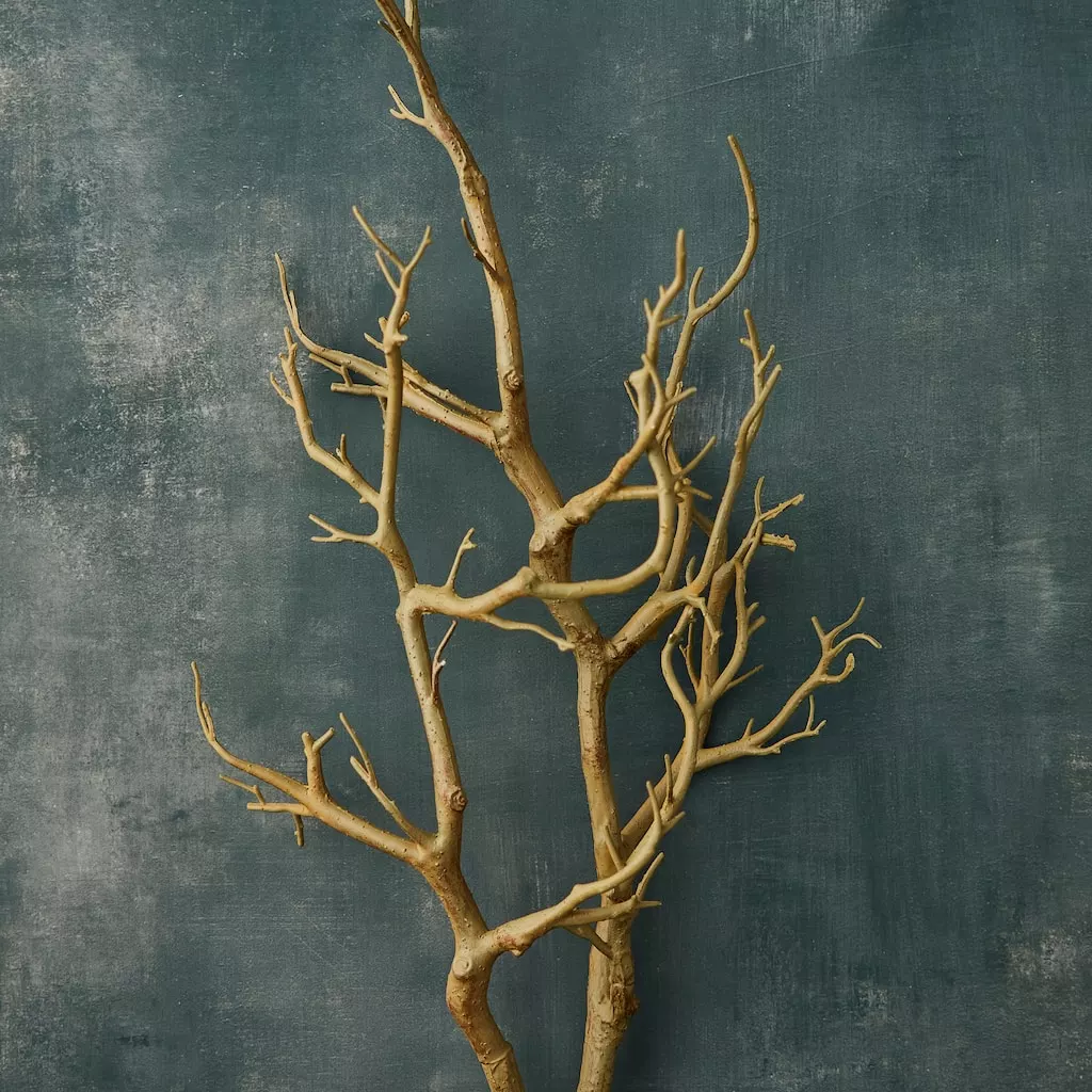 Deals โ Bare Birch Branch by Ashland® ๐ 4 Deals โ Bare Birch Branch by Ashland® ๐ - Image 2