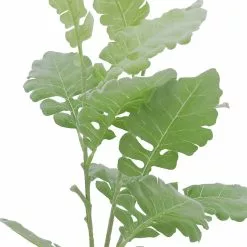 Ashland Online Store -Ashland Online Store 10626483 2