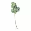 Wholesale 🥰 Green Dusty Miller Stem by Ashland® 🔥 -Ashland Online Store 10626483 21