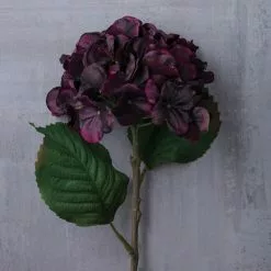 Best reviews of 👍 Black & Purple Hydrangea Stem by Ashland® 😍 -Ashland Online Store 10626485 22