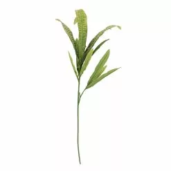 Wholesale ❤️ 12 Pack: Green & Yellow Croton Stem by Ashland® 🌟