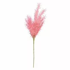 Best deal 🛒 6 Pack: Peach Pampas Grass Stem by Ashland® ✔️