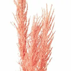 Promo ✨ Peach Pampas Grass Stem by Ashland® 🤩 -Ashland Online Store 10626520 20