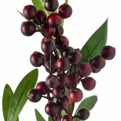 Brand new ⭐ Burgundy Berry Stem by Ashland® 🌟 -Ashland Online Store 10626525 20
