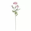 Best reviews of โ Pink Buttercup Spray Stem by Ashland® ๐ 1 Best reviews of โ Pink Buttercup Spray Stem by Ashland® ๐ -Ashland Online Store 10626529 1
