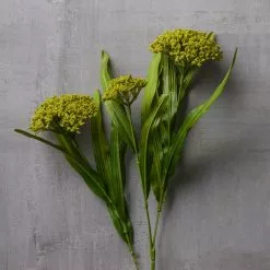 Discount 🔥 Green Queen Anne's Lace Stem by Ashland® ❤️ -Ashland Online Store 10626560 22