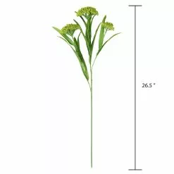 Discount 🔥 Green Queen Anne's Lace Stem by Ashland® ❤️ -Ashland Online Store 10626560 3