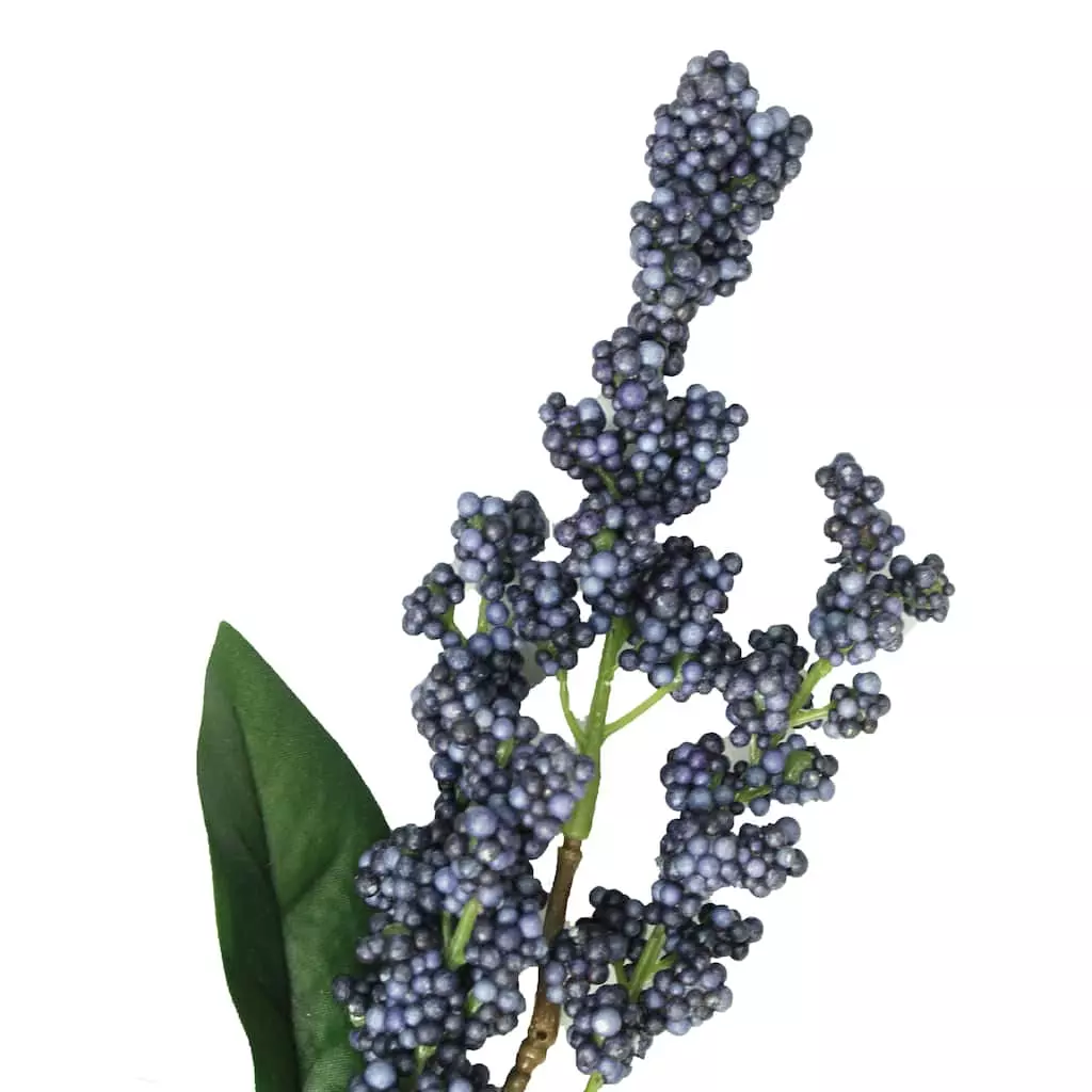 Best reviews of ๐ 12 Pack: Blue Berry Spray by Ashland® ๐ 4 Best reviews of ๐ 12 Pack: Blue Berry Spray by Ashland® ๐ - Image 2