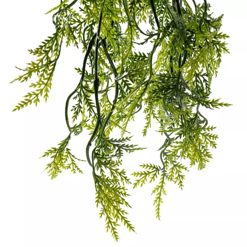 Cheap โ๏ธ 6 Pack: Green Hanging Fern Bush by Ashland® ๐ 6 Cheap โ๏ธ 6 Pack: Green Hanging Fern Bush by Ashland® ๐ - Image 4