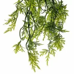 Best reviews of 🔥 Green Hanging Fern Bush by Ashland® 🛒 -Ashland Online Store 10626844 20